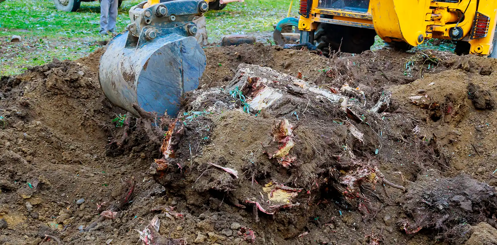 Stump Removal